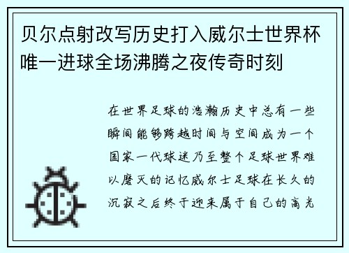 贝尔点射改写历史打入威尔士世界杯唯一进球全场沸腾之夜传奇时刻